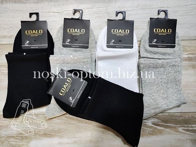 Шкарпетки чоловічі, бавовняні «COALO SPORT» висока гумка, однотонні, середньої висоти, асорті, AY9500.