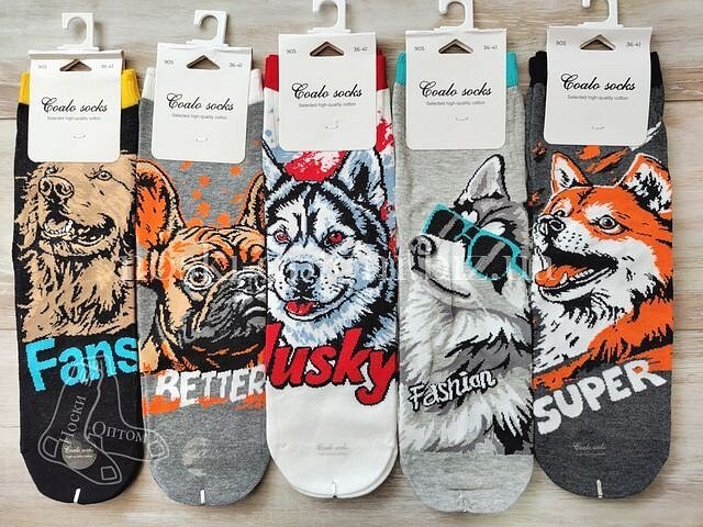 Якісні жіночі шкарпетки ТМ "COALO" середньої висоти, принт "СОБАЧКИ", супер якість, BM905.